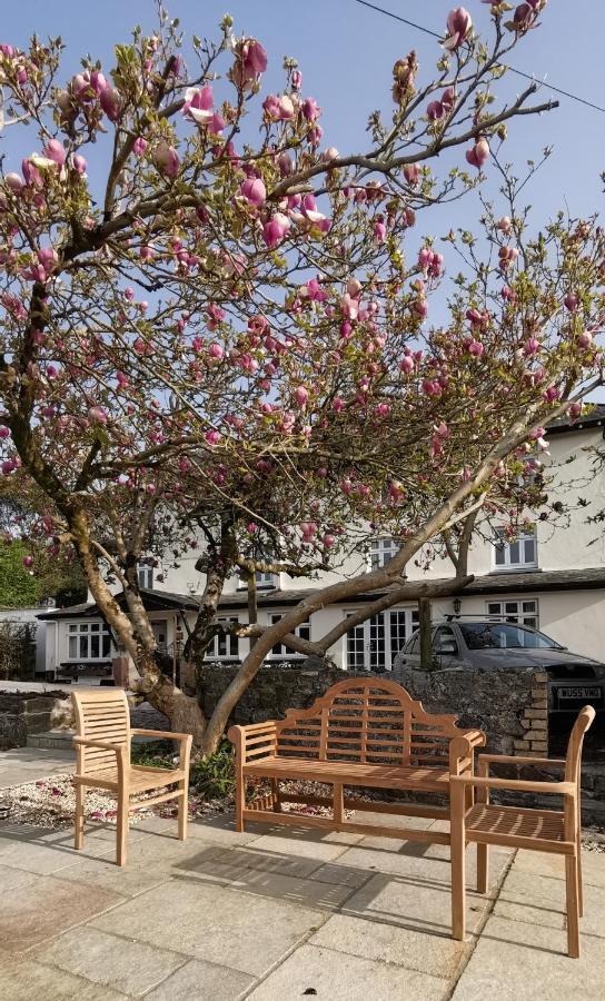 Furzeleigh Mill Inn Buckfastleigh Exterior foto